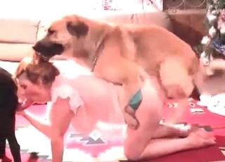Two mutts fucking a girl