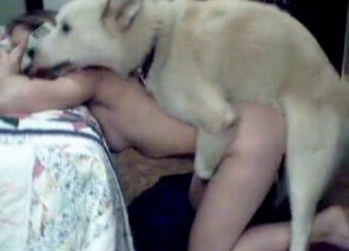 White mongrel and girl