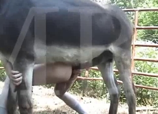 Crazy man anal porn bestiality with a nice horse
